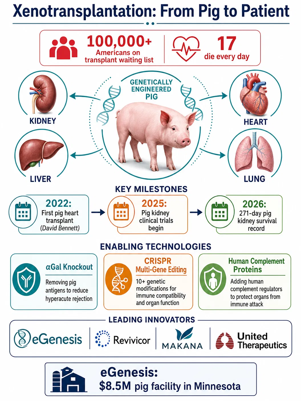 From Pig to Patient — How Xenotransplantation Is Ending the Organ Shortage Crisis in 2026