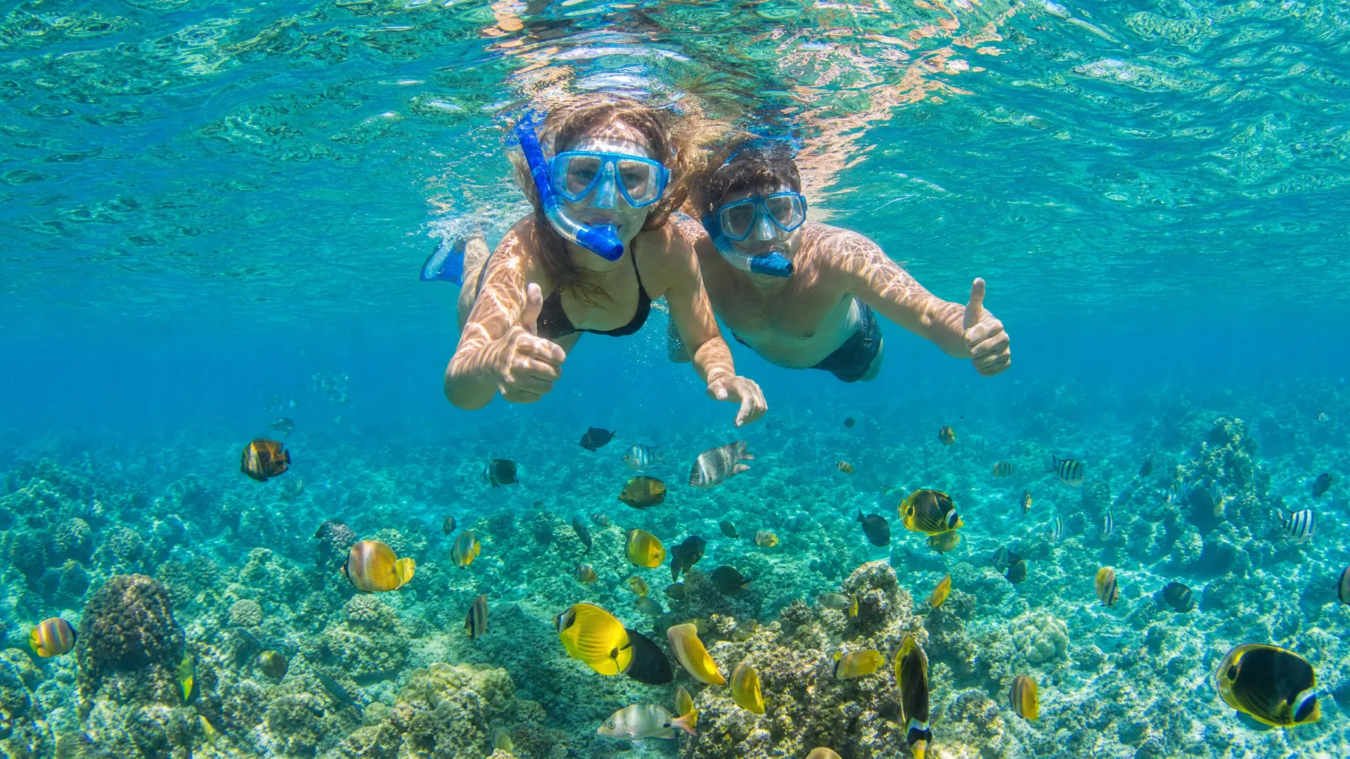 Snorkel en Arrecifes