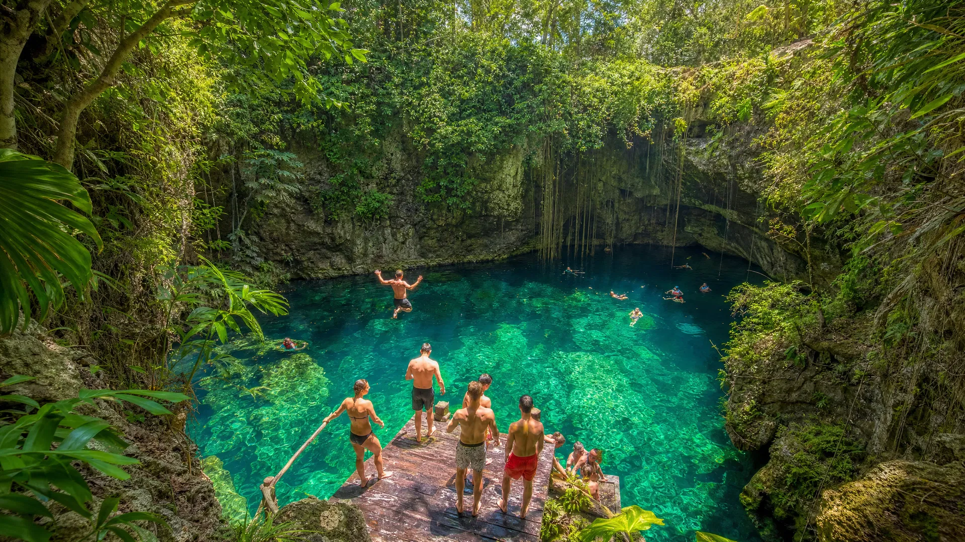 Tour Xenotes