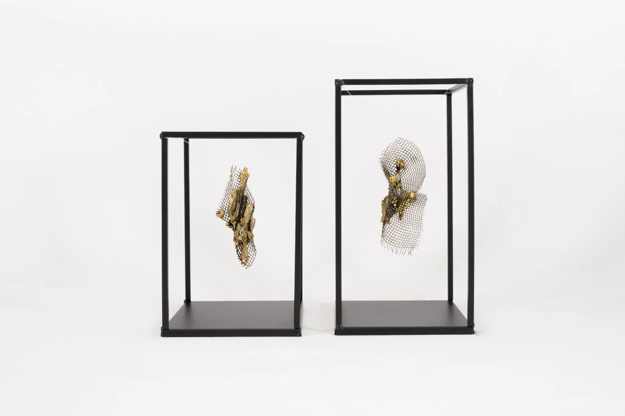 蛹.湧系列 - 生命蛻變與湧動的金工藝術作品，展現從蛹到蝶的永恆瞬間