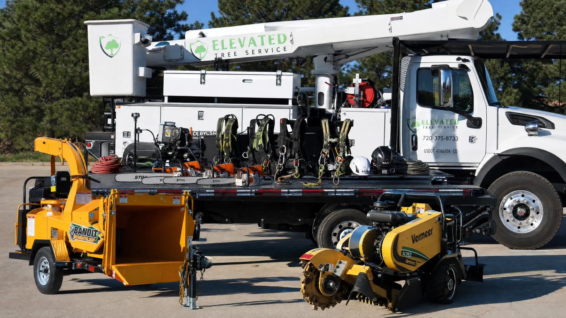 Professional tree removal equipment