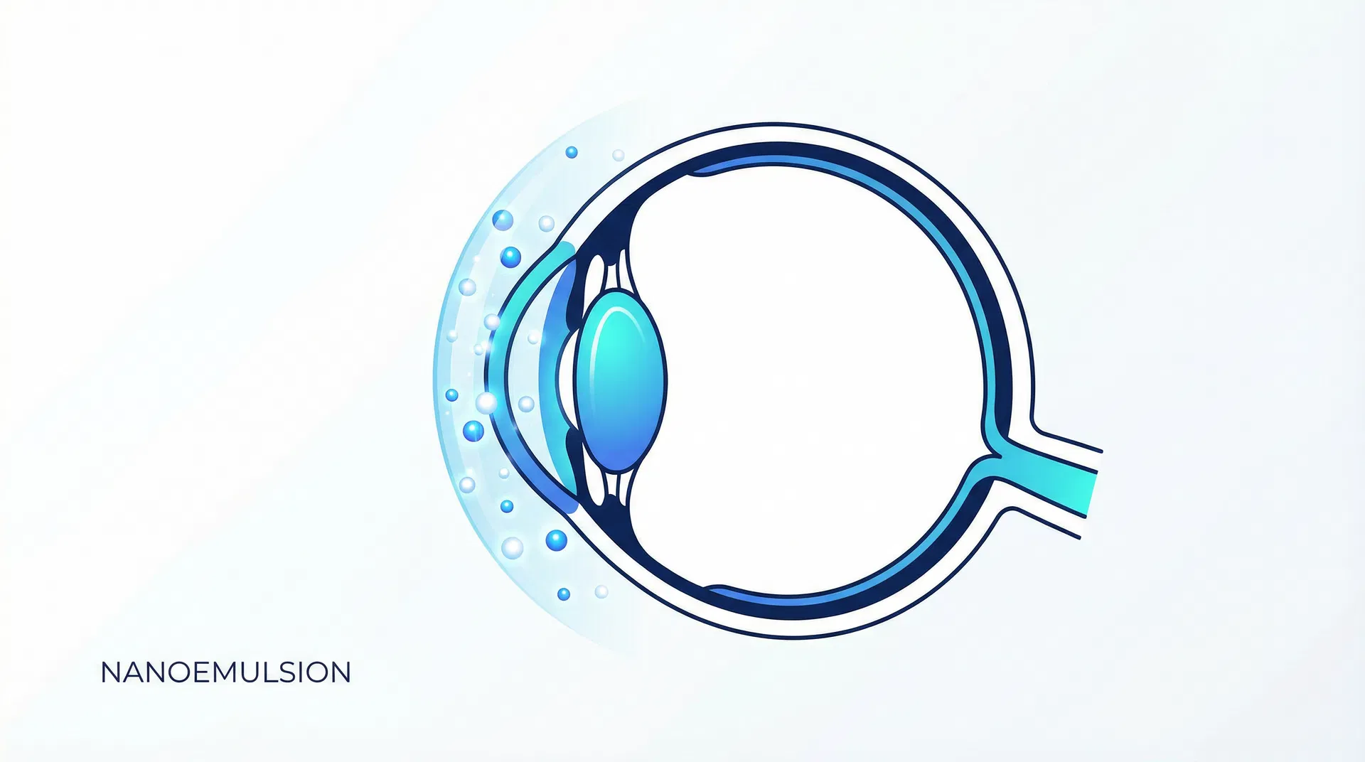 T-SPORIN eye illustration