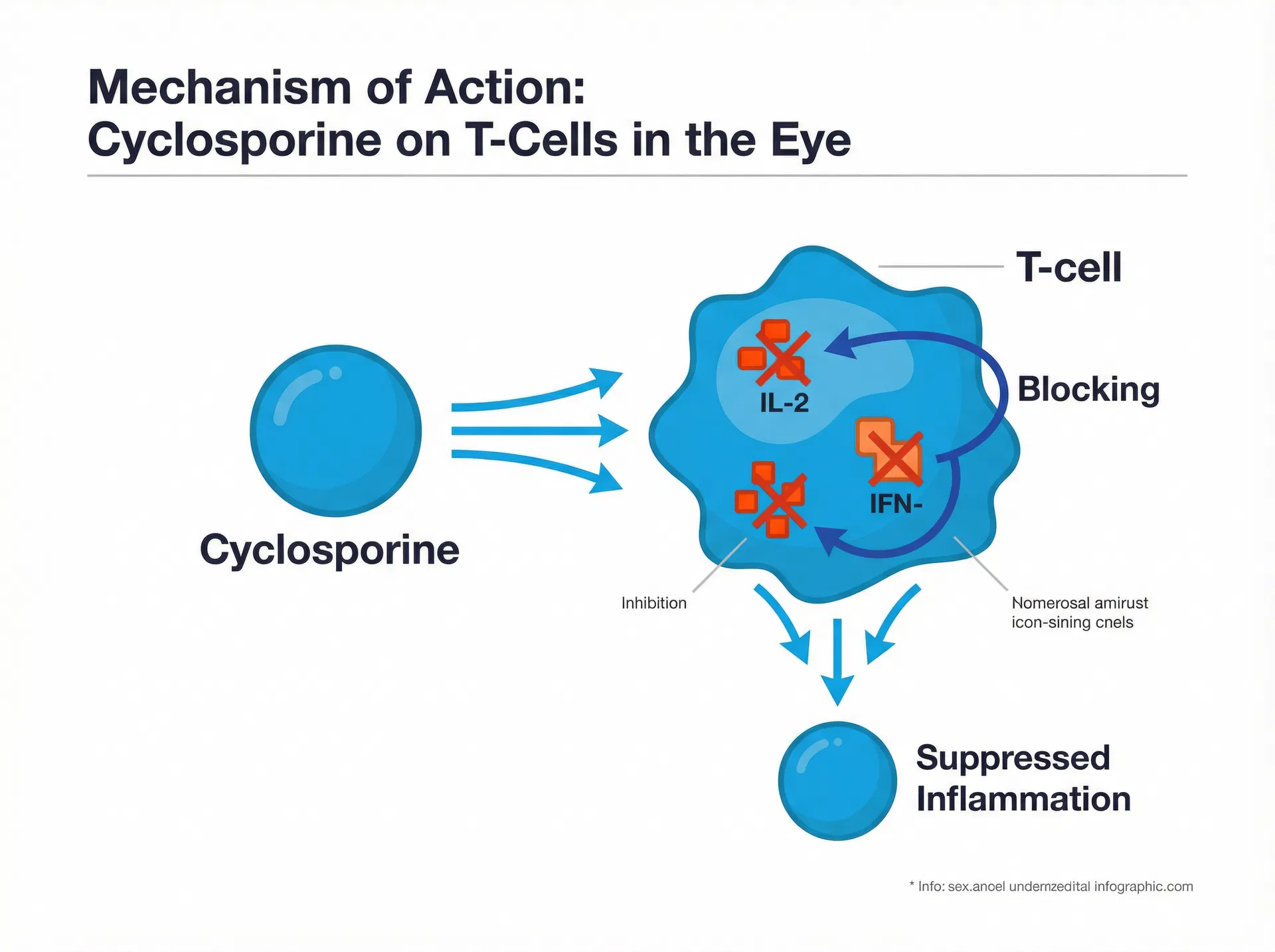 作用机制示意图