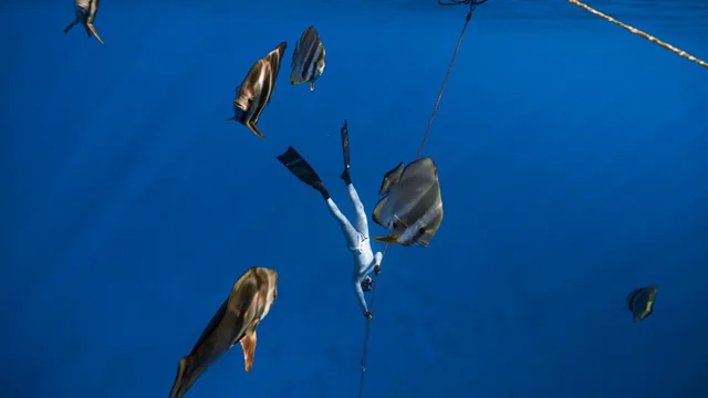 探索海洋的兩種方式