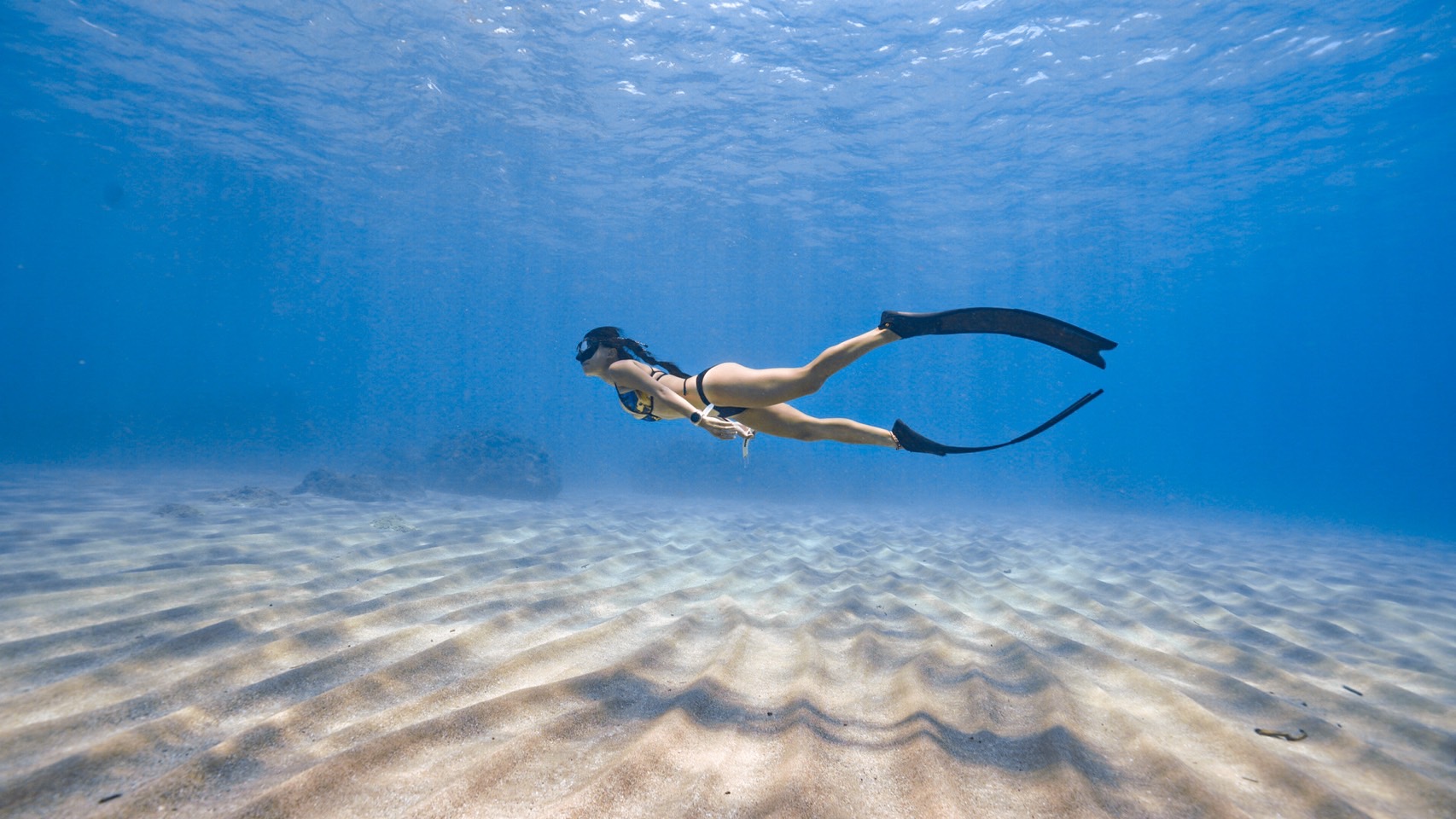 自由潛水 AIDA2 初階自由潛水證照課程