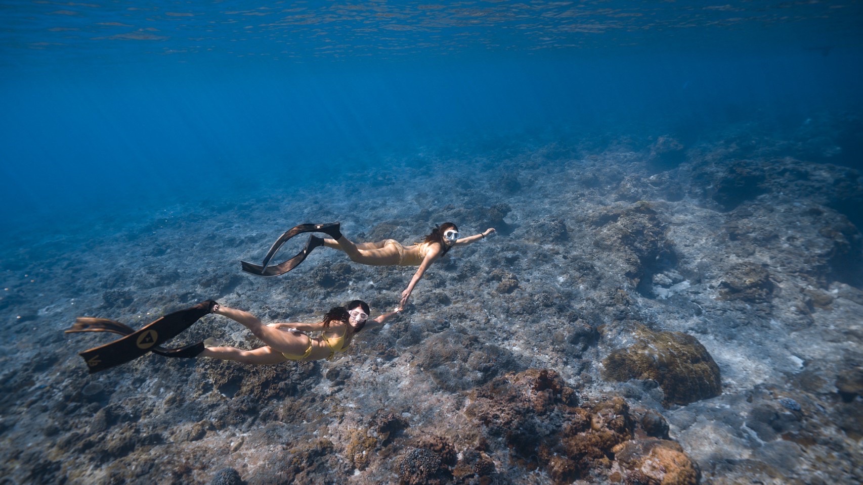 自由潛水 AIDA1 入門證照課程