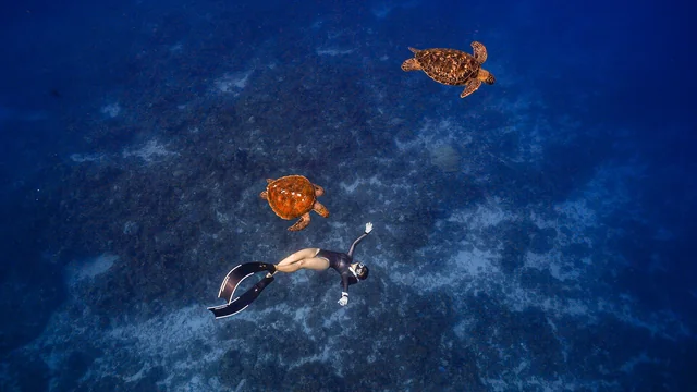 自由潛水呼吸技巧與放鬆訓練：掌握水下世界的第一步