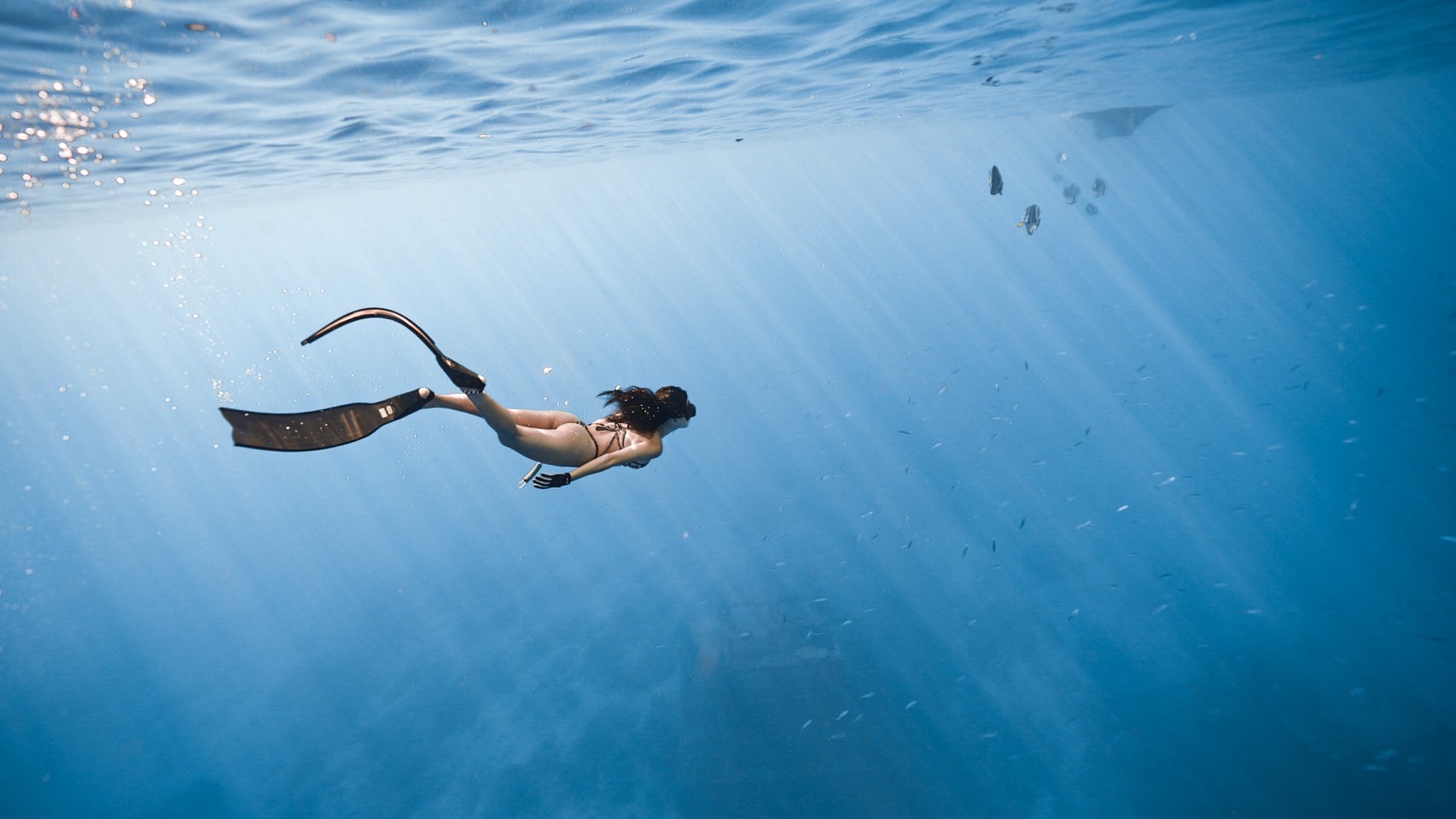 自由潛水 AIDA3 進階自由潛水證照課程