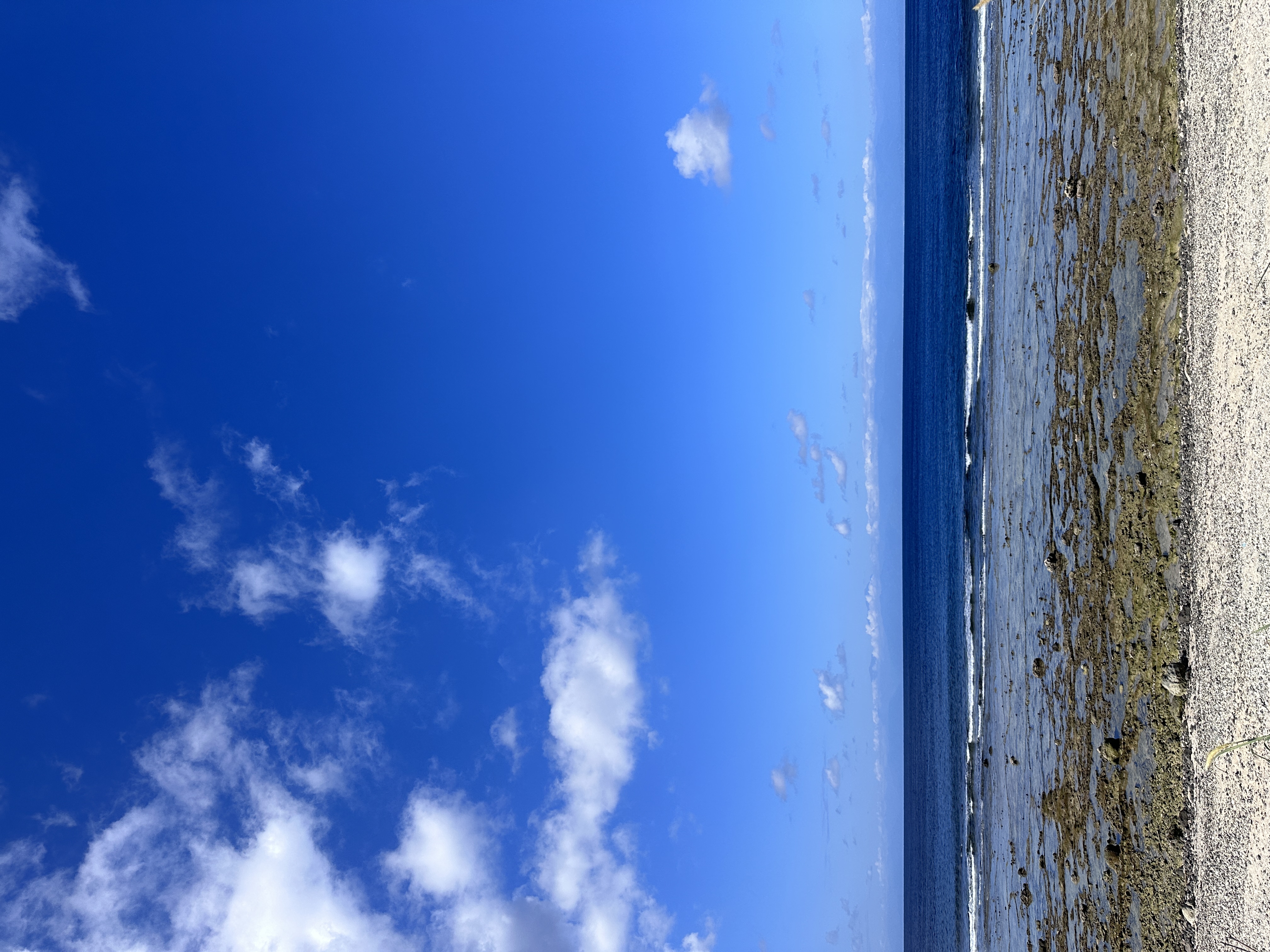 2026 淨灘淨海行動