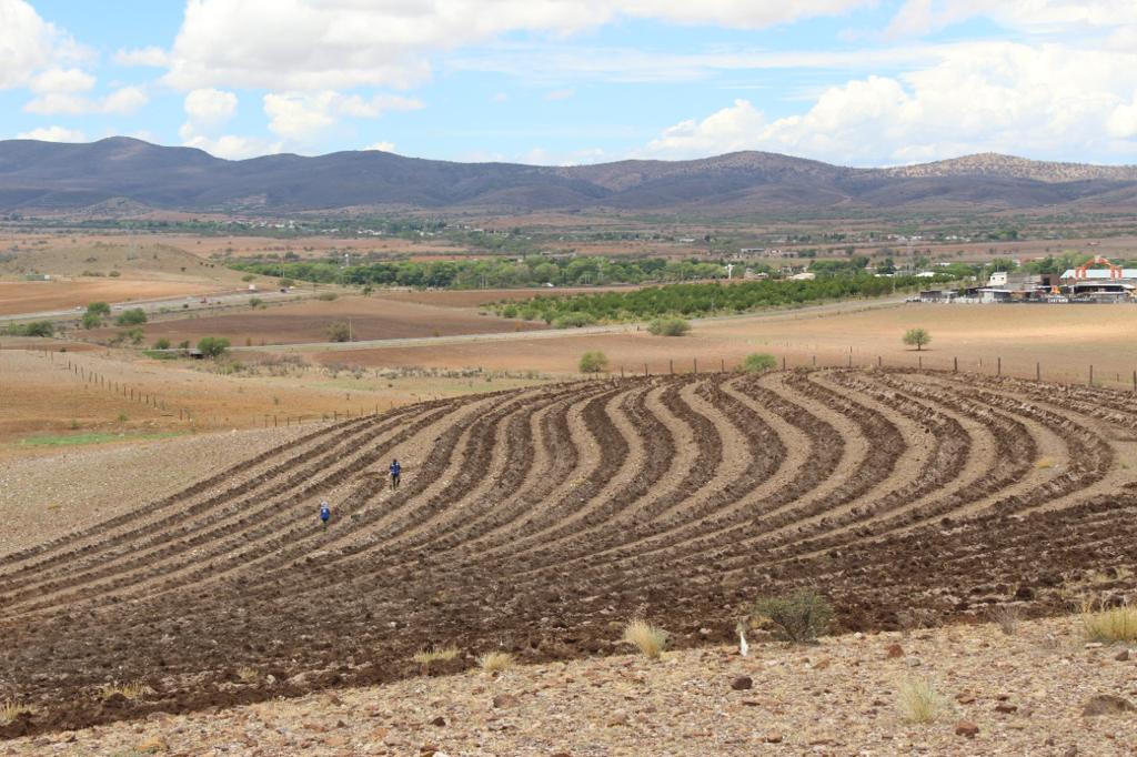 Santa Isabel | Carbono