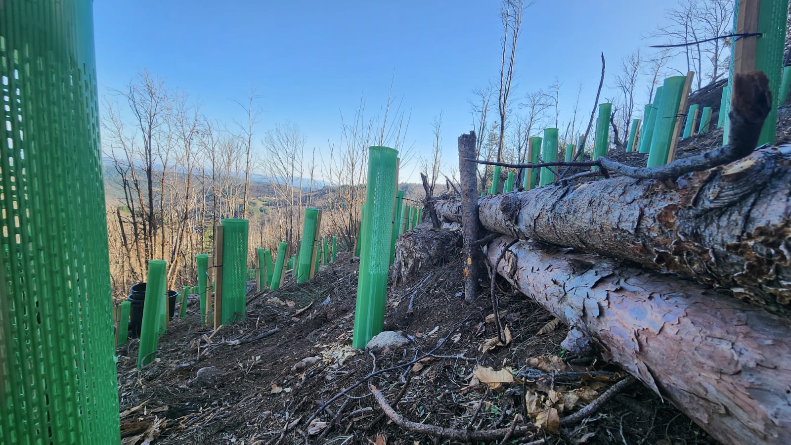 Forest4Future | Agua