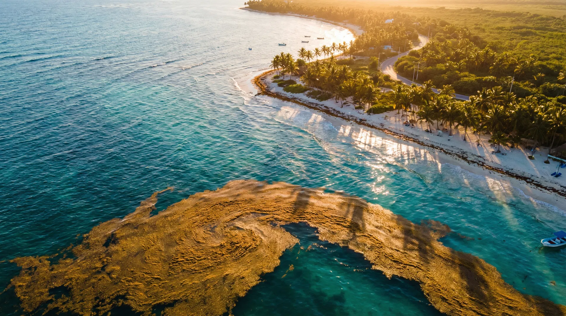 Sargazo en el Caribe mexicano