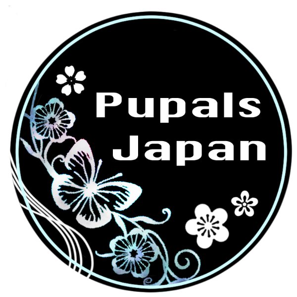 企画者アイコン