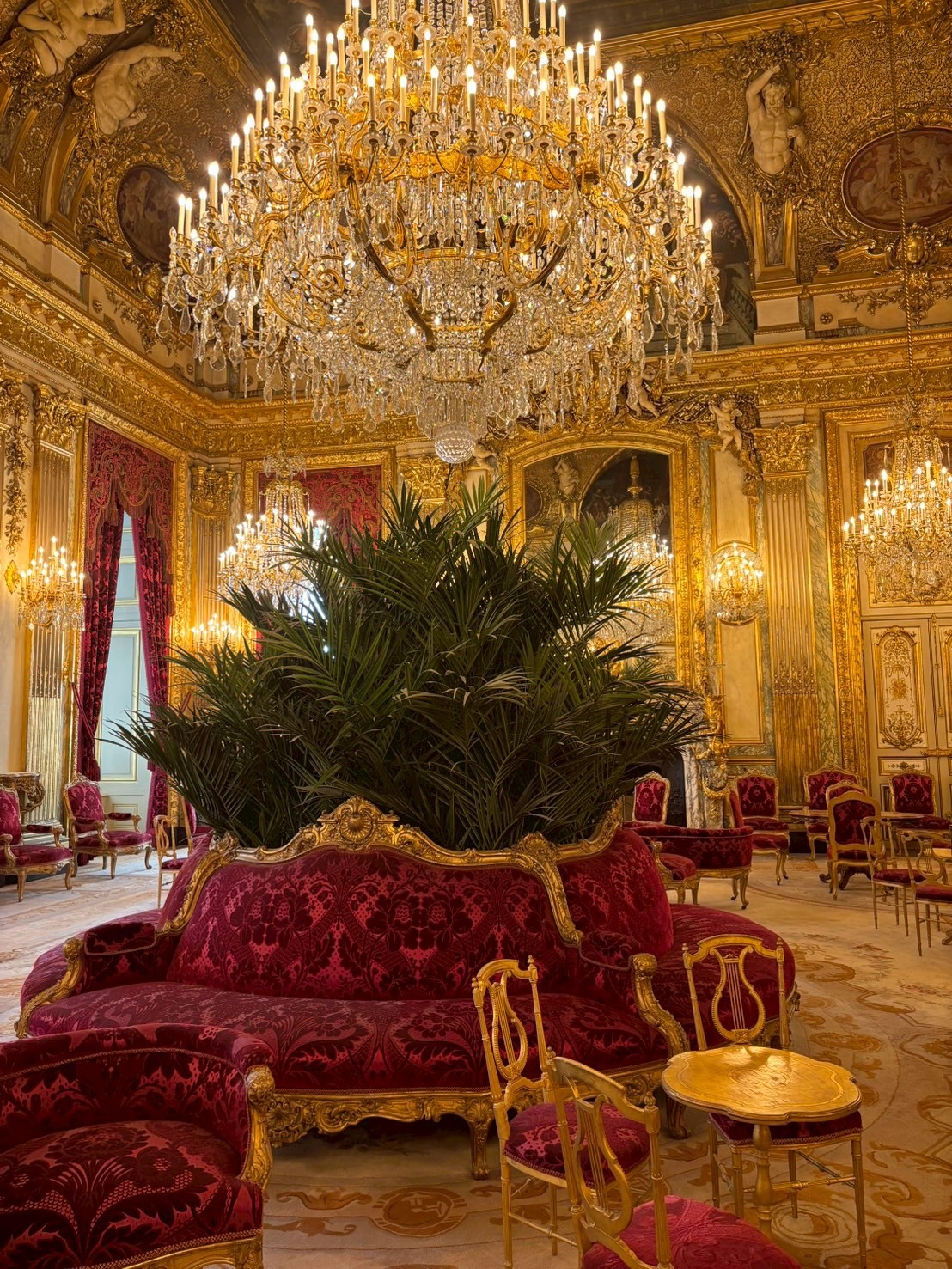 季節のフルーツと花の贅沢テリーヌ