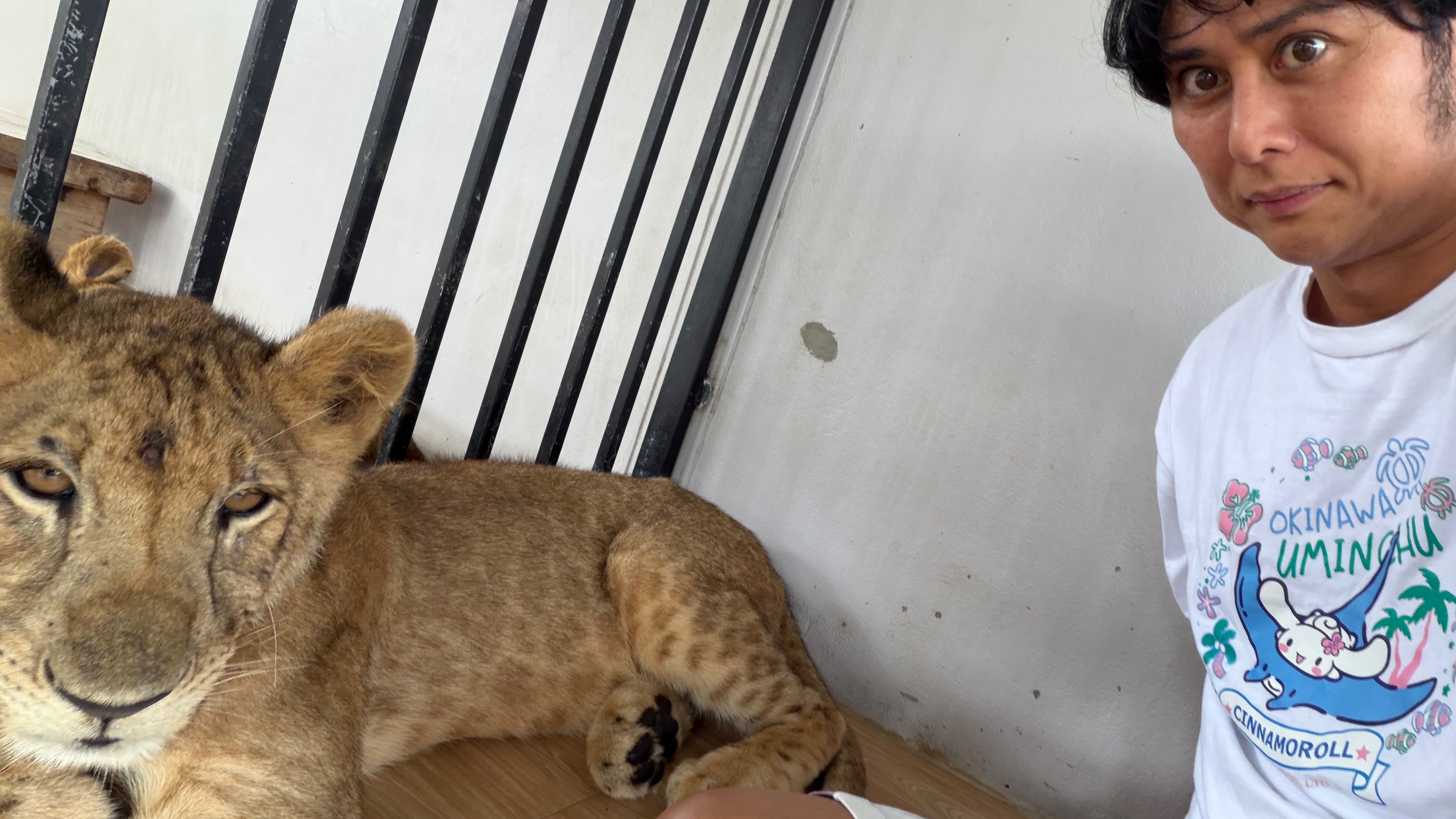 つくば野菜と黒トリュフ香る 濃厚ボロネーゼ