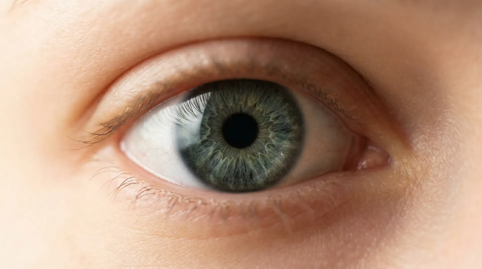 Close-up of a human eye — oLo monitors your eye health