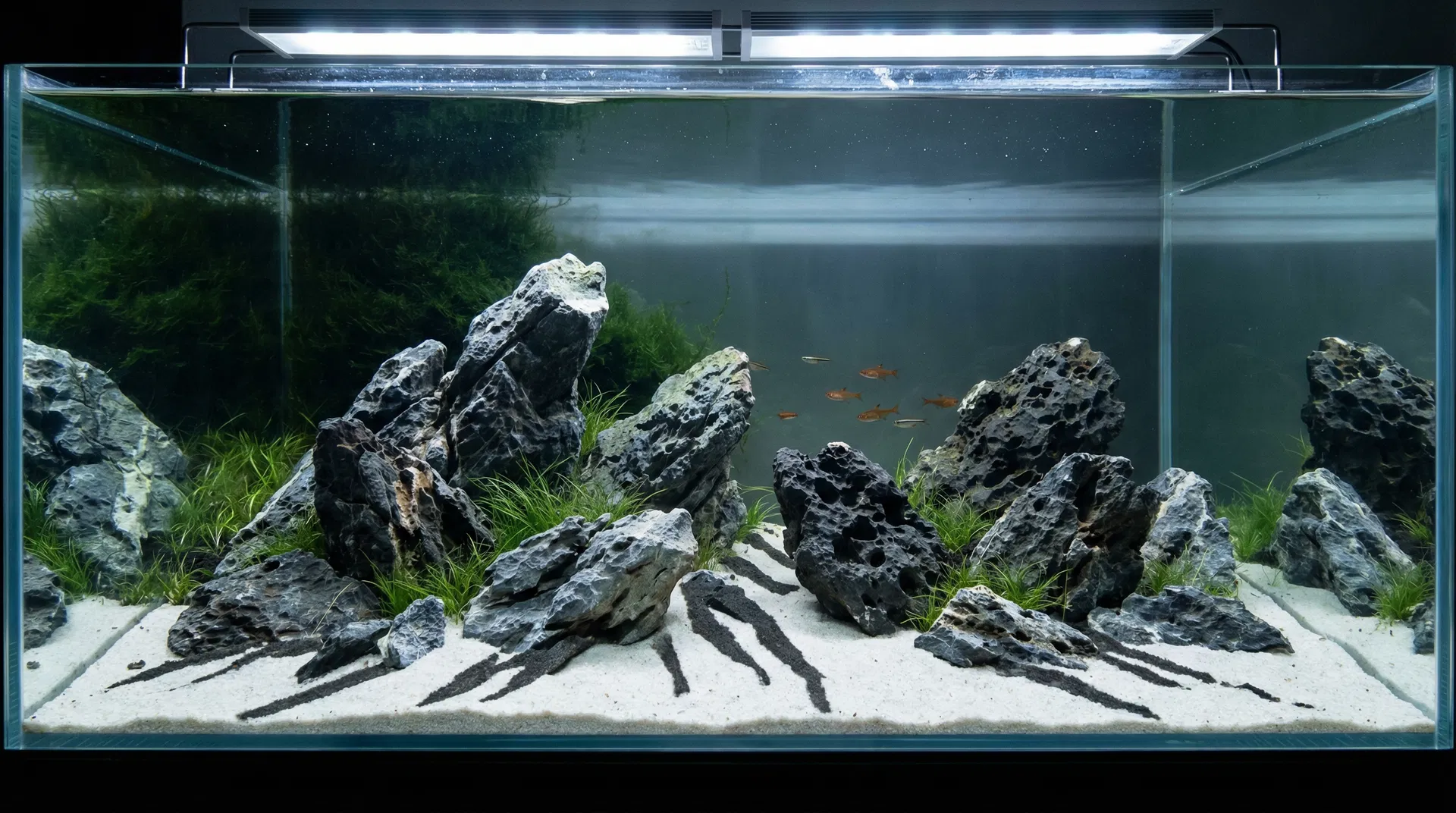 Steine im Aquarium – Iwagumi-Stil mit Seiryu- und Drachenstein