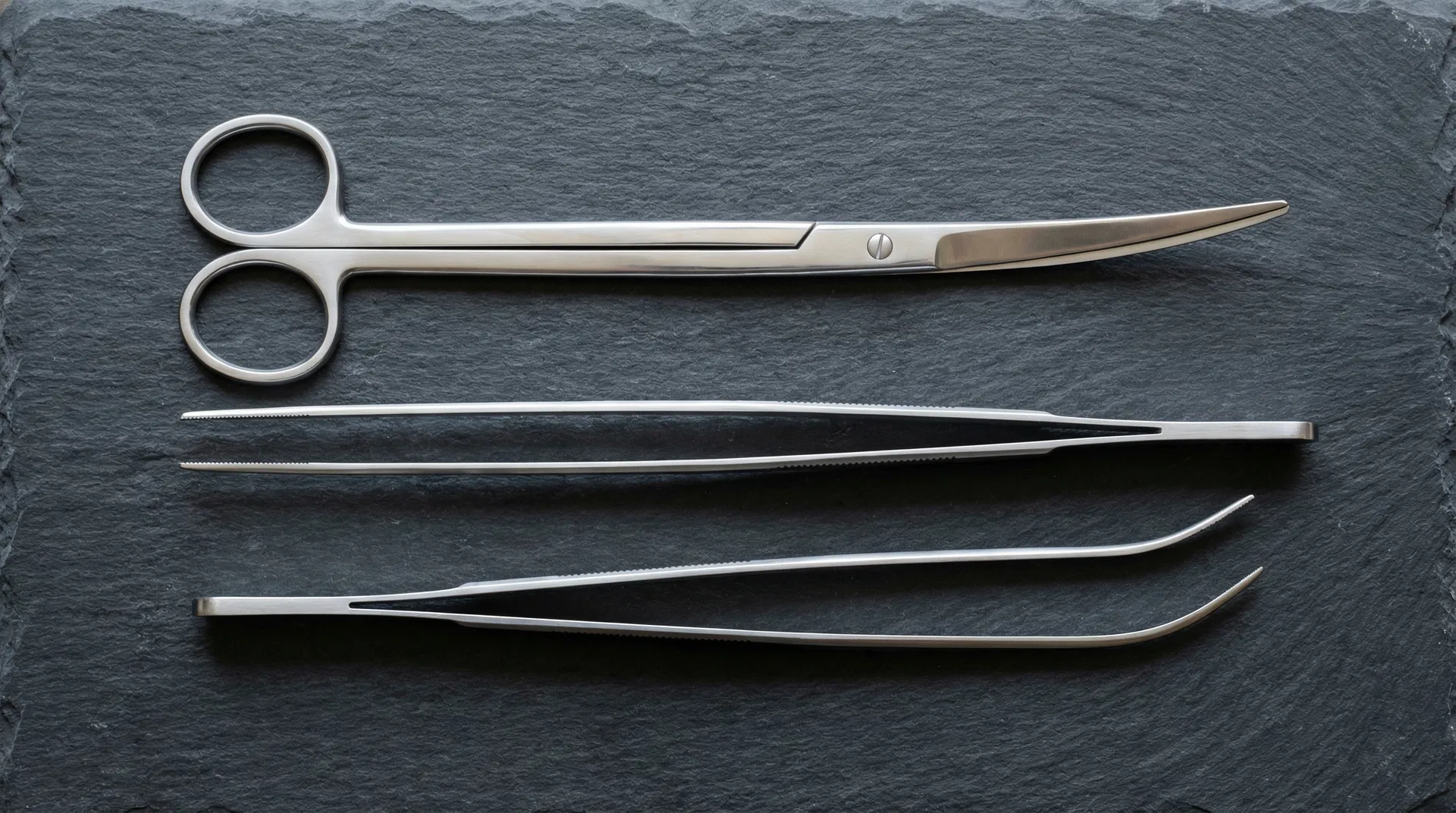 Edelstahl-Aquaristik-Werkzeuge: gebogene Schere, gerade und gebogene Pinzette auf Schiefer