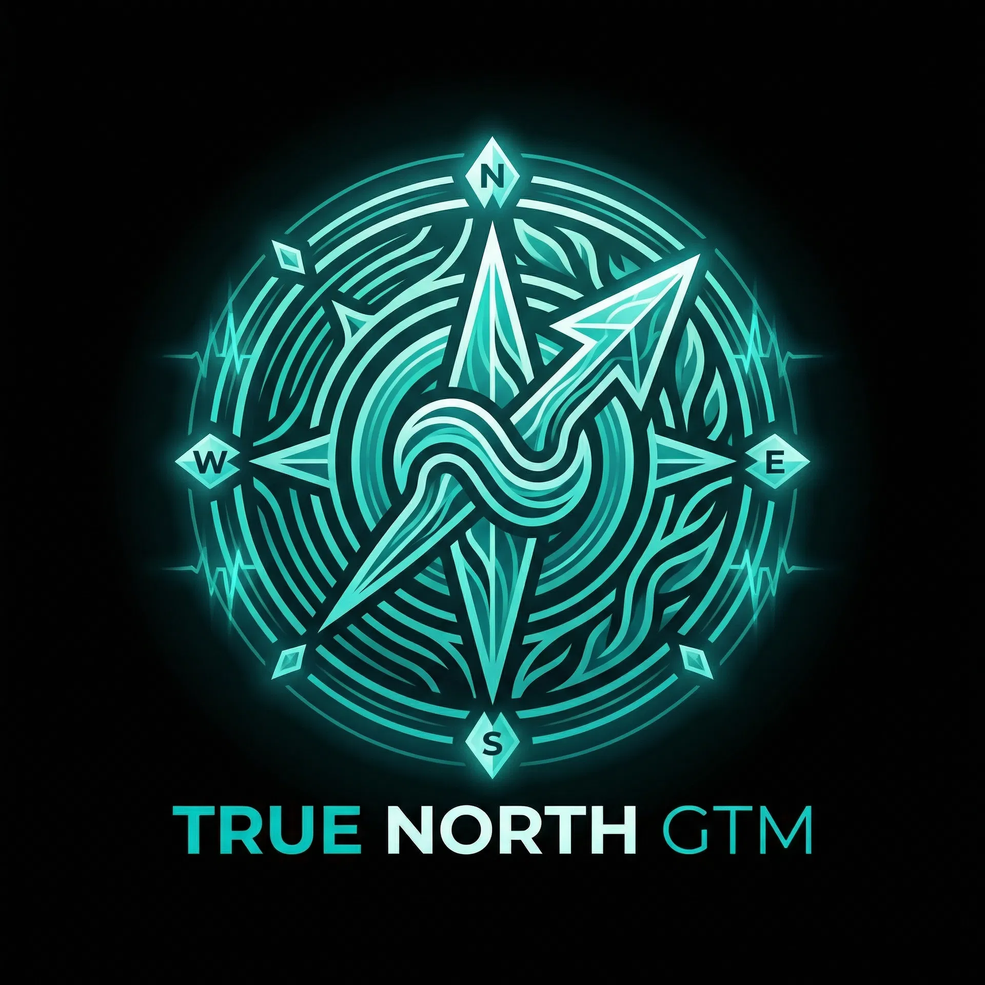 True North GTM