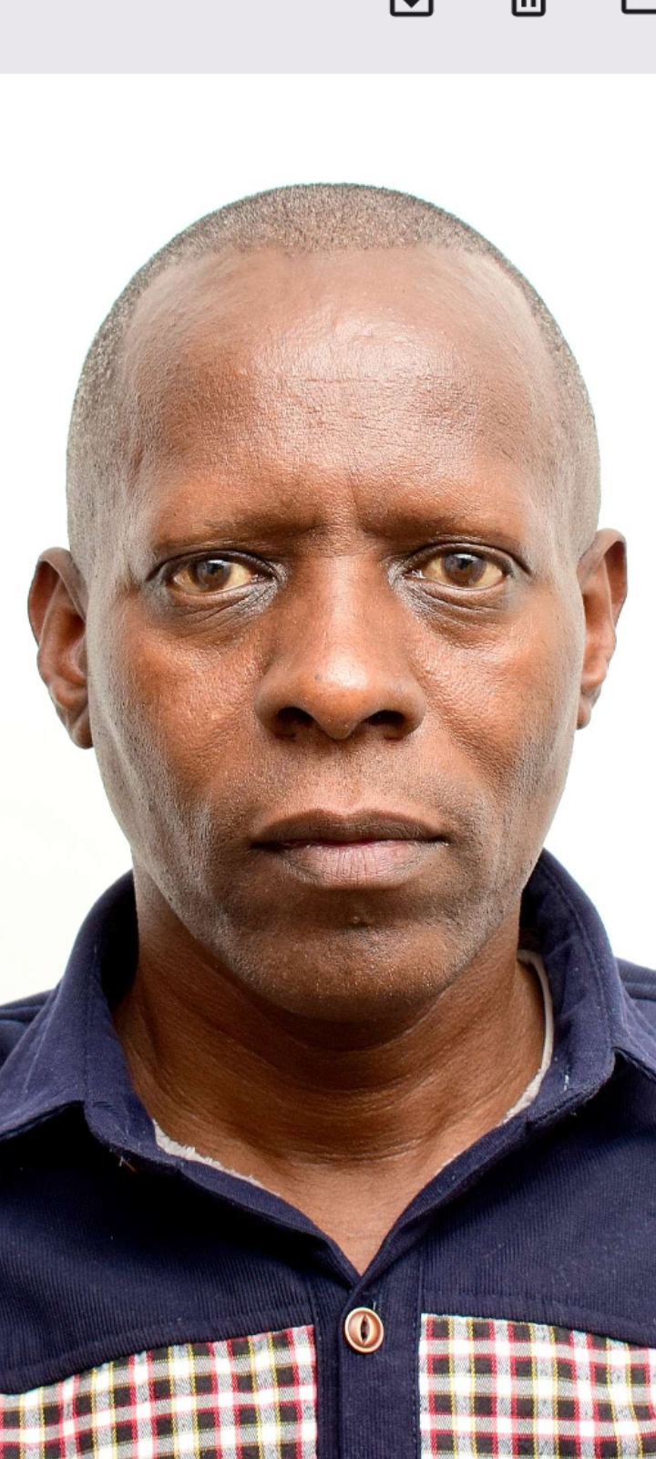 DANIEL DEMUSIC KOMBICH