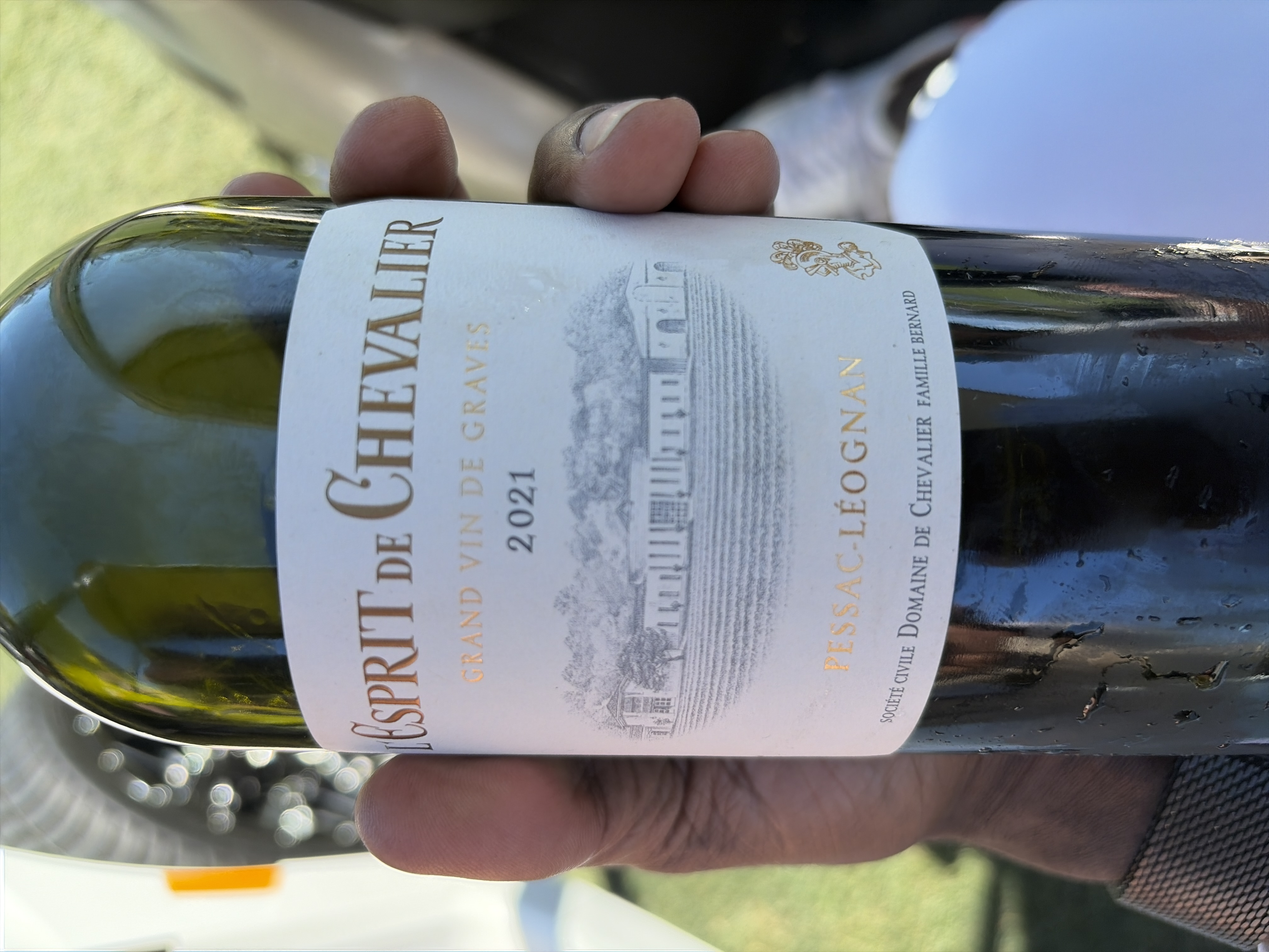 L'Esprit de Chevalier