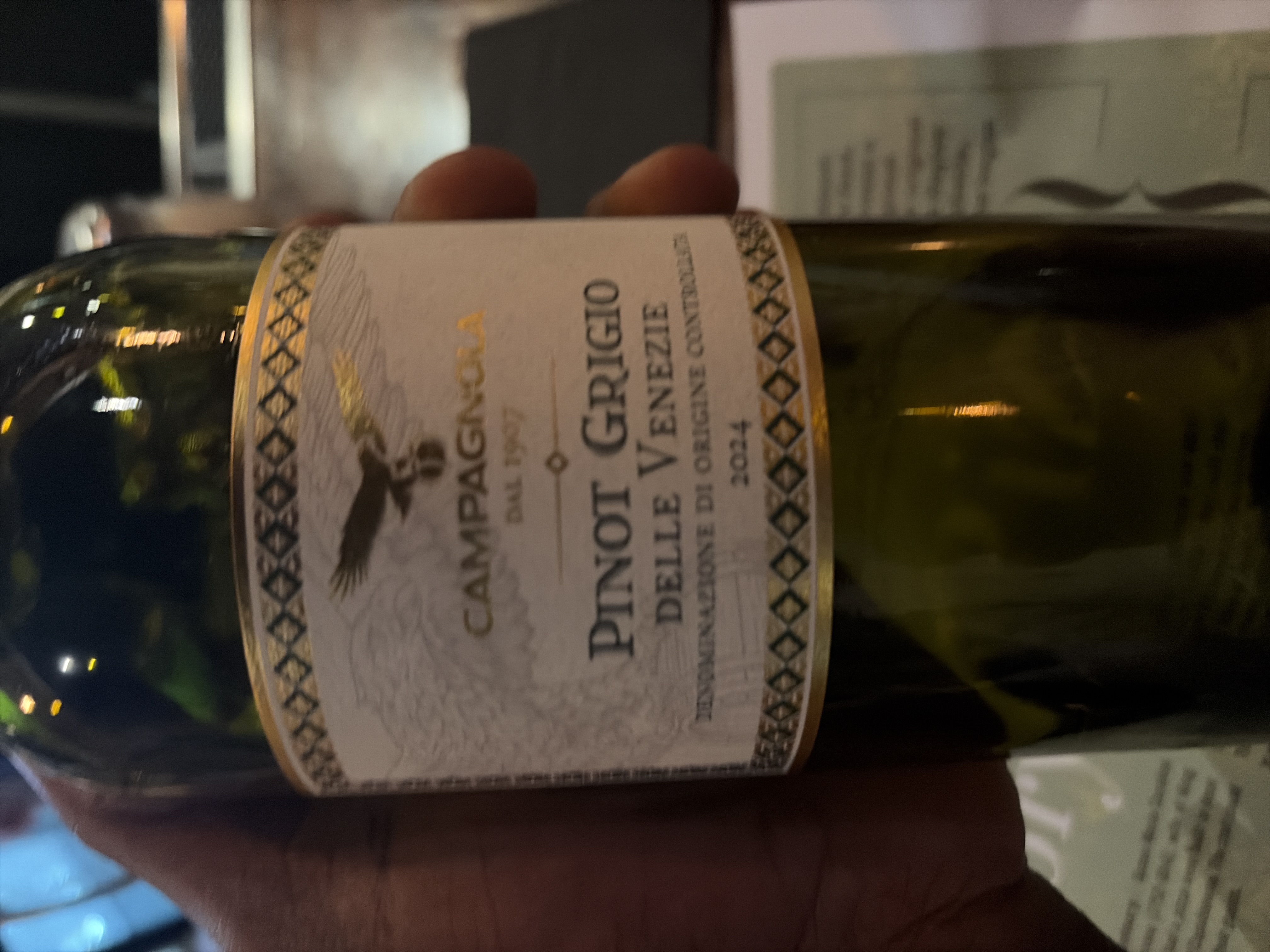 Pinot Grigio Delle Venezie