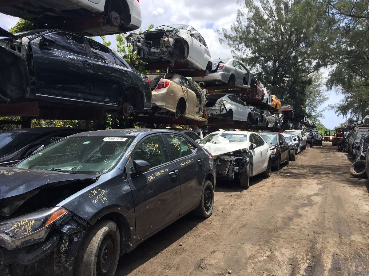 2018-06-28 12.29.02 2