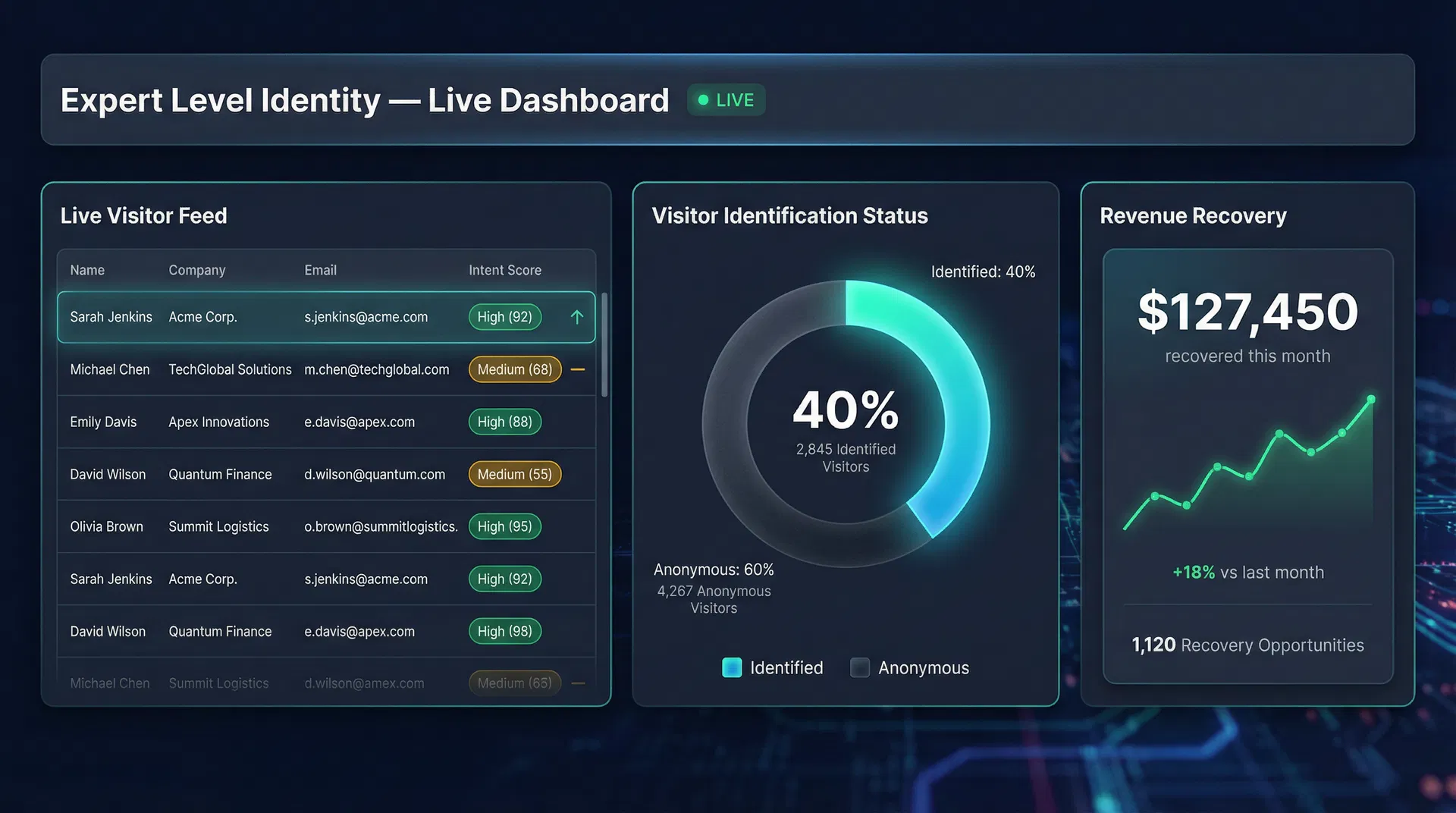 Expert Level Identity Live Dashboard — real-time visitor identification