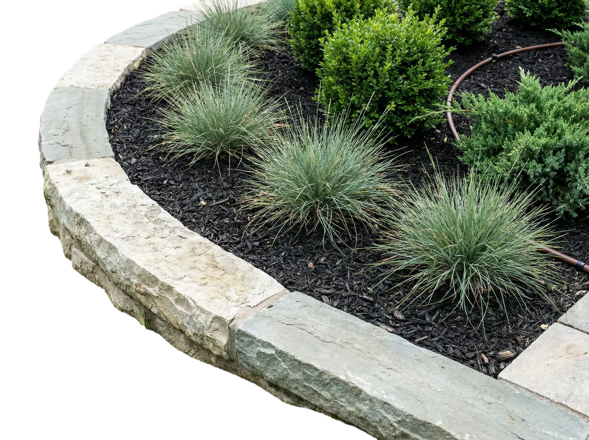 Close-up landscape detail with stone edging and ornamental grasses