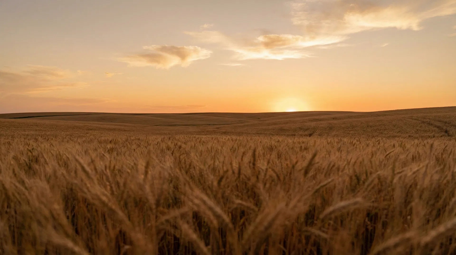 Kansas prairie landscape at golden hour — Bonita Payton Mobile Notary serving Basehor and Kansas City