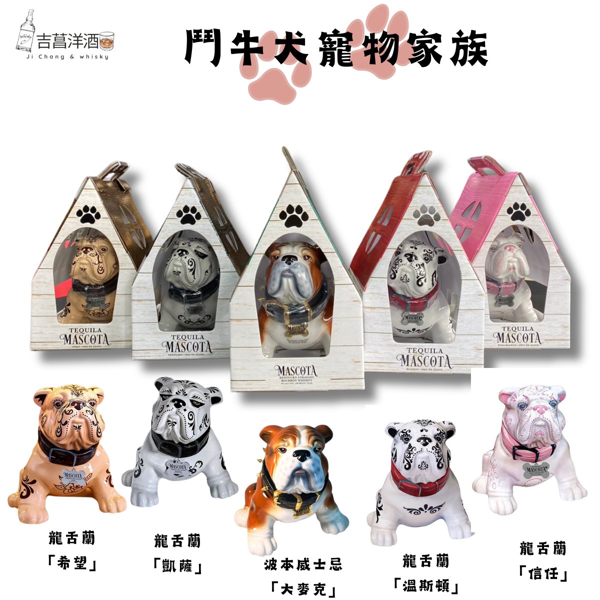 鬥牛犬系列寵物龍舌蘭