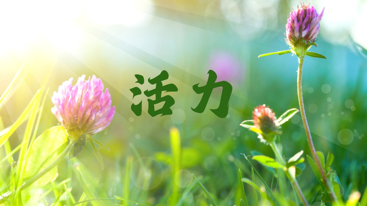 線上呼吸、靜心體驗