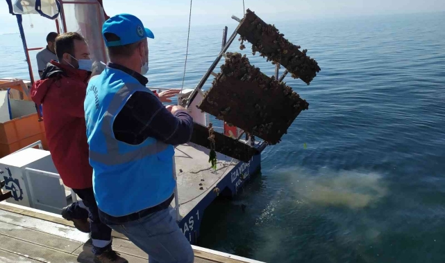 Denizden çıkan piknik masası şaşkına çevirdi!