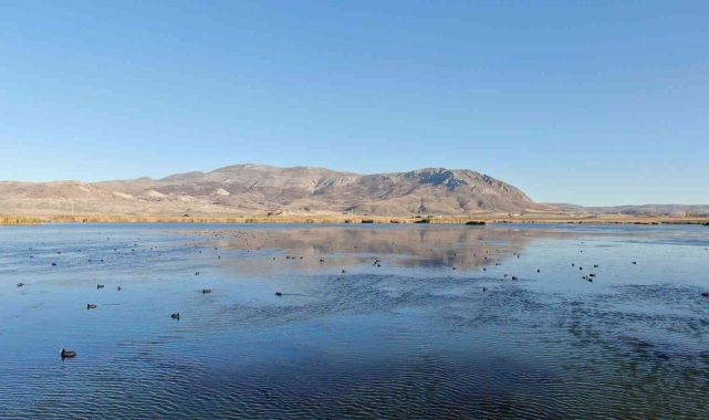 Toplu balık ölümleriyle endişelendiriyordu, eski görünümüne kavuştu