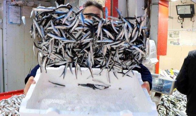 Karadeniz'in en ucuz balığı 7 TL, en pahalısı 150 TL