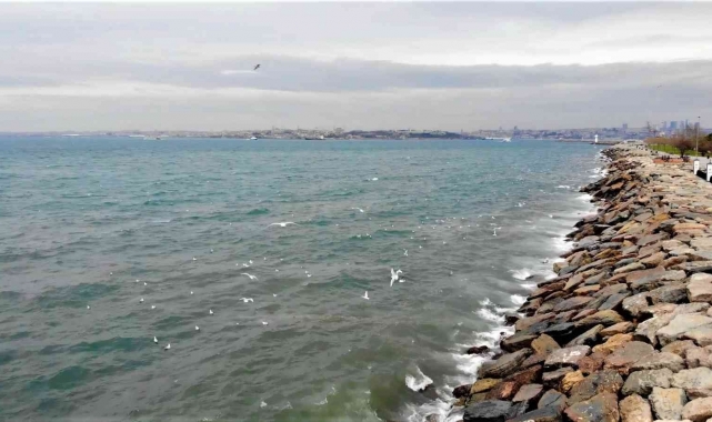 Kadıköy'de İSKİ'nin arıtma tesisinden bırakılan su denizin rengini değiştirdi!