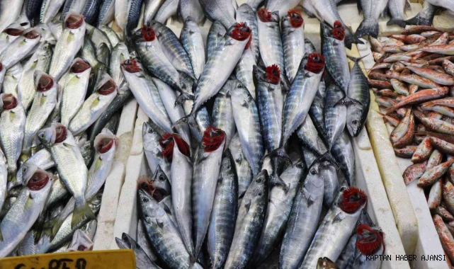 Balıkçılar 2021'den memnun ayrılıyor!