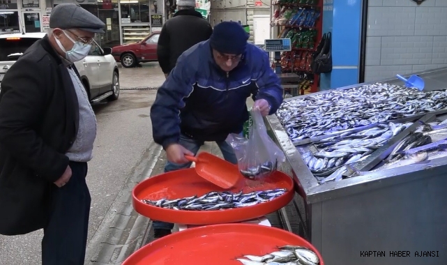 Hamsi geri geldi, balıkçılar neşelendi