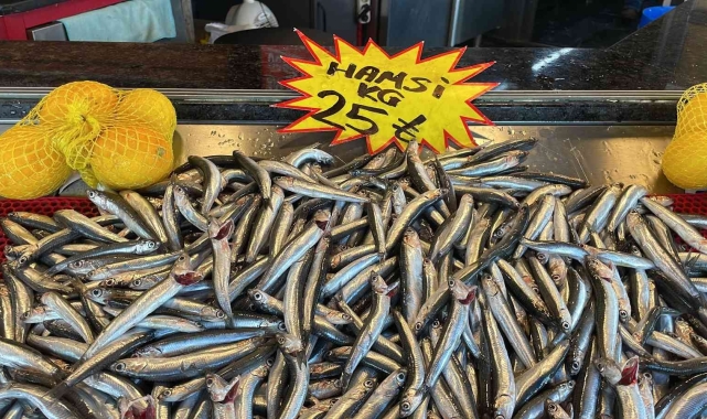 Deniz soğudu, balık bollaştı!