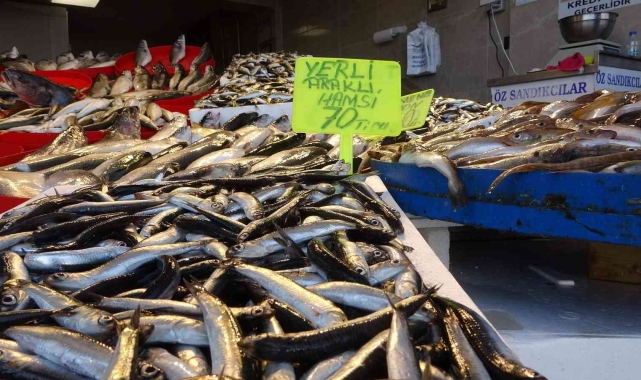 Denizden az çıkınca hamsinin fiyatı yükseldi