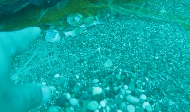 Deniz canlıları için ölümcül tuzak olan 'Hayalet ağlar' sualtı hayatını tehdit ediyor