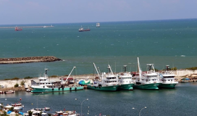 Mayın sıkıntısı yaşanmayan Samsun'da balıkçılar çaça avına başladı