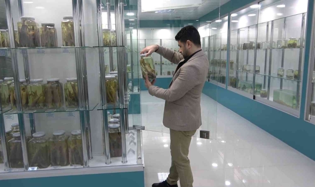 Türkiye'nin en zengin balık müzesine yurt dışından yoğun ilgi