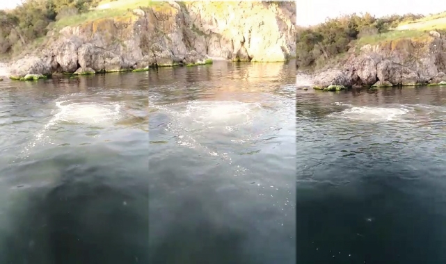 Heybeliada'da derin deniz deşarj hattı patladı, lağım suyu deniz yüzeyine çıktı