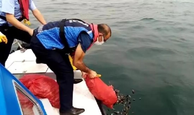 Sahil Güvenlik ekipleri, denize dalarak midye avcılığı yapanları suçüstü yakaladı