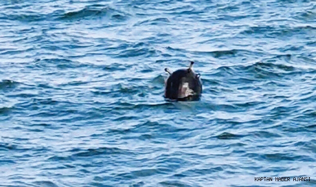 Denizcilere ilanlarda serseri mayın uyarısı!