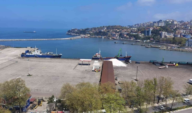 Ukrayna-Rusya krizi Zonguldak Limanı'ndaki ticareti de etkiledi