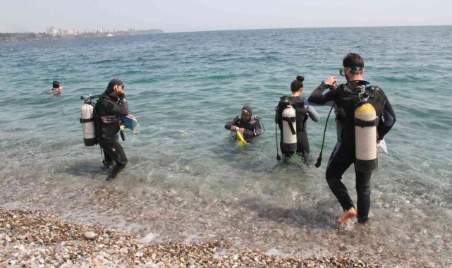Dünyaca ünlü sahilde deniz kestaneleri koloni olarak görüntülendi