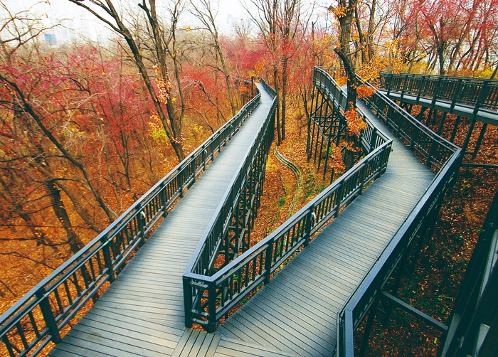 🏞️ 사건발생! 배봉산 추리여행