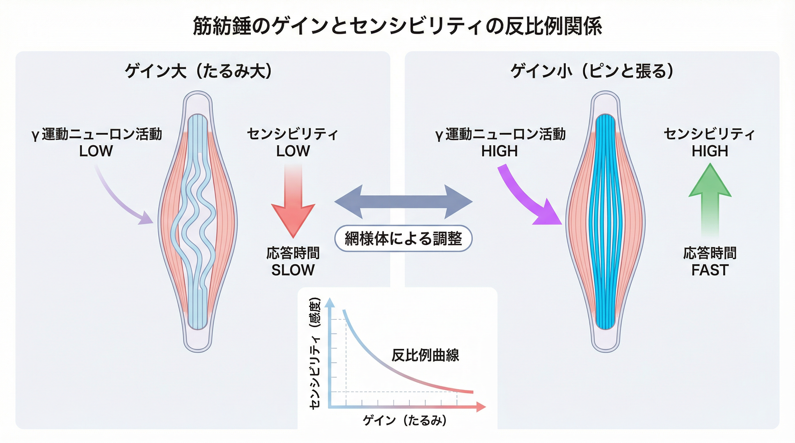 図2: ゲインとセンシビリティの逆相関関係